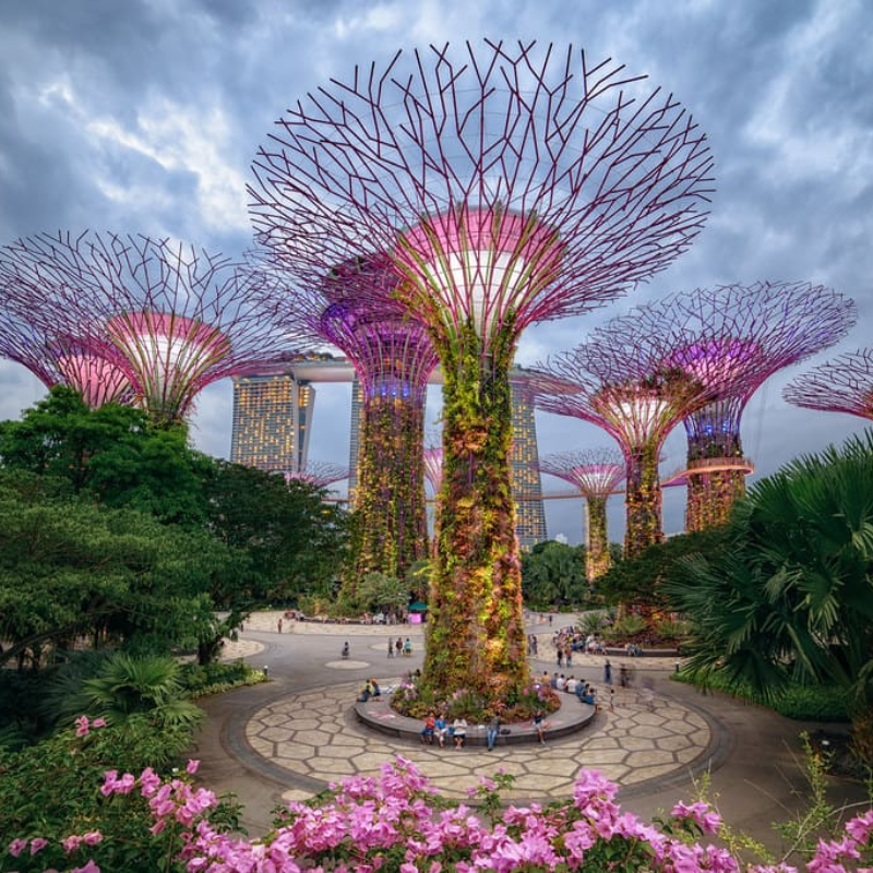 Southeast Asia Tour: 20 Days in Singapore, Thailand, Vietnam